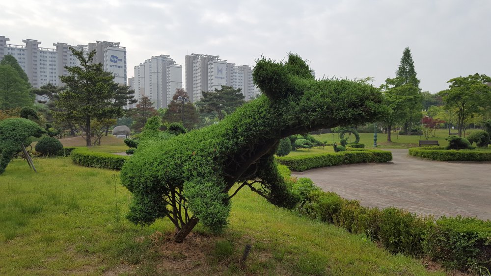 20170513_073646.jpg