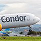 Condor767Winglet